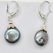 Load image into Gallery viewer, Platinum Freshwater Coin Pearl and Sterling Dangling Earrings | 1 1/4 Inch Drop |