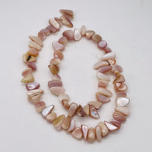 Load image into Gallery viewer, Pink Mother of Pearl Shell Briolette Bead Strand 103145