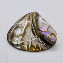 Load image into Gallery viewer, Abalone Hinge Shell | 1 Pendant Bead |