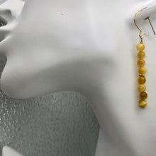 Load image into Gallery viewer, Tigereye 14K Gold Filled Earrings | 2 Inch Drop | Golden |