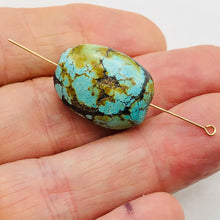 Load image into Gallery viewer, Natural Turquoise Nugget Focus Master 39cts Bead | 24x18x14 | Blue Brown | 1 |