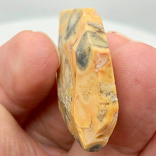 Load image into Gallery viewer, Crazy Lace Agate Carved Pendant Bead | 40x29x8mm | Red Gray |