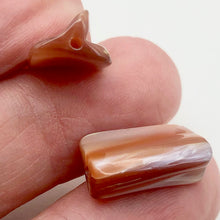 Load image into Gallery viewer, Natural Dark Pink Mussel Shell Bead Strand 104324
