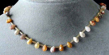 Load image into Gallery viewer, 12 Crazy Lace Agate Briolette Beads 004606 - PremiumBead Alternate Image 3