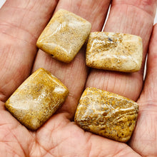 Load image into Gallery viewer, Coral Fossilized Rectangular Parcel | 20x15x6 mm | Brown/White | 4 Beads |