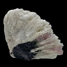 Load image into Gallery viewer, Watermelon Tourmaline Crystal |45x54x44mm|Purple Black White| 1 Display Specimen