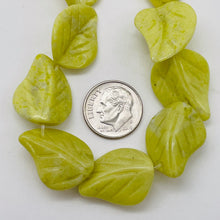 Load image into Gallery viewer, Hand Carved Jade Leaf Bead 16 inch Strand 110166