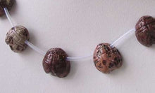 Load image into Gallery viewer, Carved Red Flower Apache Jasper Scarab Beads | 18x17x8mm | 14 Beads |