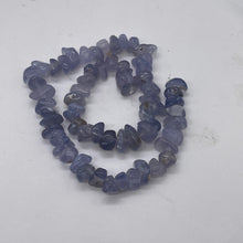 Load image into Gallery viewer, Oregon Holly Blue Chalcedony Agate 66g Nuggets | 13X10X7 15X8X8 | Blue | 64 Bead