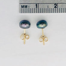 Load image into Gallery viewer, South Sea Pearl 14K Solid Gold Post Earrings | 6mm | Gray/Blue | 1 Pair |