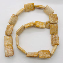 Load image into Gallery viewer, Coral Fossilized Half Strand Rectangular Beads|20x15x6 mm| Brown/White|10 Beads|