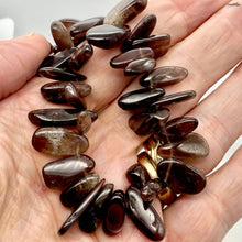 Load image into Gallery viewer, Fantastic Gray Bronze Moonstone Nugget Briolette Bead Strand | 60 Beads |