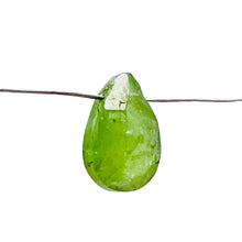Load image into Gallery viewer, Garnet Grossular Flat Faceted Briolette Pendant Bead| 9x6x4mm (2ct) | Green | 1