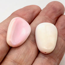 Load image into Gallery viewer, Conch Shell. Pear Shaped | 27x19x8 to 28x22x11 | Pink White | 2 Bead(s)