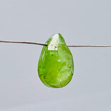 Load image into Gallery viewer, Garnet Grossular Flat Faceted Briolette Pendant Bead| 9x6x4mm (2ct) | Green | 1