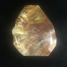 Load image into Gallery viewer, Fossilized Wood Irregular Flat Briolette | 45x38x7mm | Brown/White | 1 Pendant Bead
