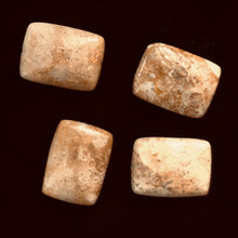 Load image into Gallery viewer, Coral Fossilized Rectangular Parcel | 20x15x6 mm | Brown/White | 4 Beads |