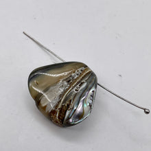 Load image into Gallery viewer, Abalone Hinge Shell | 1 Pendant Bead |