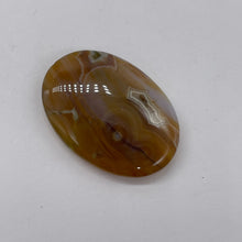 Load image into Gallery viewer, Ocean Jasper Round | 31x24x6 to 39x28x10 mm | Multi-color | 4 Beads