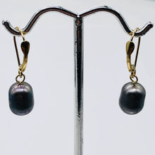 Load image into Gallery viewer, South Sea Pearl Drop 14K Gold Earrings | 1" Long | Silver/Black | 1 Pair |