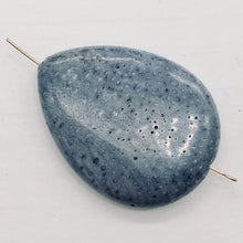 Load image into Gallery viewer, Coral Fossilized Teardrop | 40x30x8 mm | Blue | 2 Pendant Beads |