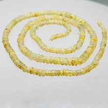 Load image into Gallery viewer, Opal Graduated Faceted Fiery Roundel Bead 16" Strand| 3-4 mm | Golden| 230 Bead|