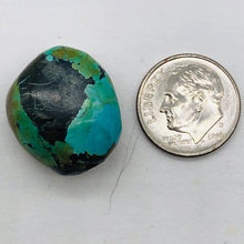 Load image into Gallery viewer, Genuine Natural Turquoise Nugget Focus Master 31cts| 21x18x10mm | Blue Black|1|