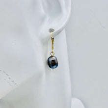 Load image into Gallery viewer, South Sea Pearl 14k Gold Lever Back Drop Earrings | 1" Long | Gray | 1 Pair |