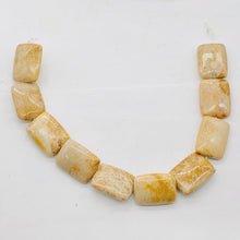 Load image into Gallery viewer, Coral Fossilized Rectangular Parcel | 20x15x6 mm | Brown/White | 4 Beads |