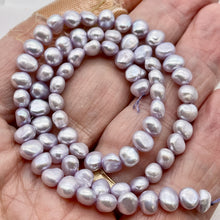 Load image into Gallery viewer, Fairy Winkle Lavender Fresh Water Pearl Strand 102951