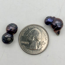 Load image into Gallery viewer, Magnificent!! 2 one of a kind Black Peacock Fireball FW Pearl - PremiumBead Alternate Image 10