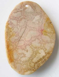 Ameobas Rare Fossilized Coral 53mm Pendant Bead 9192Ad - PremiumBead Alternate Image 2