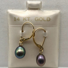 Load image into Gallery viewer, Rainbow Lavender Freshwater Pearl and 14K Drop Lever Back Earrings | 1 inch | - PremiumBead Alternate Image 6