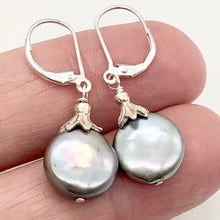 Load image into Gallery viewer, Platinum Freshwater Coin Pearl and Sterling Dangling Earrings | 1 1/4 Inch Drop |