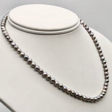 Load image into Gallery viewer, Shimmering Platinum 5.5x4mm Freshwater Pearl Strand 102989 - PremiumBead Alternate Image 3