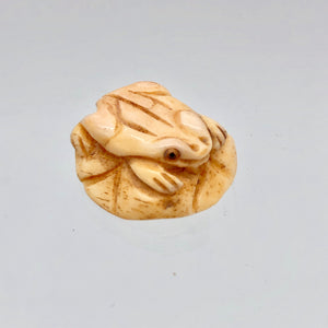 Poised Hand Carved Frog on Lily Pad Bone Bead | 1 Bead | 19x8mm | 7550 - PremiumBead Alternate Image 3