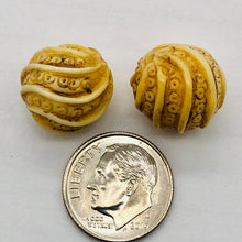 Load image into Gallery viewer, Octopus Tentacle Swirl Waterbuffalo Carved Bone Bead 10760B