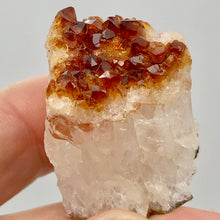 Load image into Gallery viewer, Natural Rootbeer Citrine Display Specimen Glorious | 26x26x33mm |