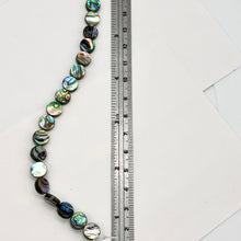 Load image into Gallery viewer, Natural Abalone Shell 8.5mm Coin Bead Strand (49 Beads) 109910