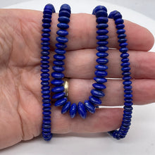 Load image into Gallery viewer, Lapis Lazuli Rondelle Graduated Necklace | 32" Long | Blue Silver | 16-12mm |