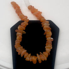 Load image into Gallery viewer, Chalcedony Chip Half Strand | 7x7x2 to 12x7x4mm | Orange Pink | 50 to 60 Bead(s)