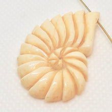 Load image into Gallery viewer, Nautilus Bone Bead 35x21x4mm 10350 - PremiumBead Primary Image 1