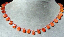 Load image into Gallery viewer, 2 Red Chalcedony Fancy Faceted Briolette Beads 005212 - PremiumBead Alternate Image 3