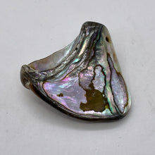 Load image into Gallery viewer, Abalone Hinge Shell | 1 Pendant Bead |