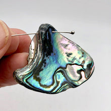 Load image into Gallery viewer, One! Natural Abalone Fan Shaped Pendant 45x35mm Bead - PremiumBead Alternate Image 2