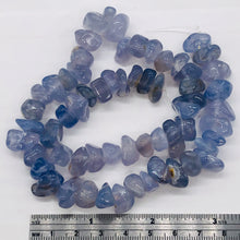 Load image into Gallery viewer, Oregon Holly Blue Chalcedony Agate 76 Grams Nugget Strand| 10x8 15X8 | 62 Bead |