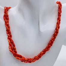 Load image into Gallery viewer, Coral Oval Graduated Bead Necklace | 20&quot; Long | 3x6 to 5x8mm | Red | Necklace |
