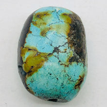 Load image into Gallery viewer, Natural Turquoise Nugget Focus Master 39cts Bead | 24x18x14 | Blue Brown | 1 |