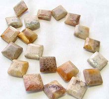 Load image into Gallery viewer, Premium 2 Fossilized Coral 15x15x6mm Diamond Beads 9007 - PremiumBead Alternate Image 3