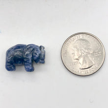 Load image into Gallery viewer, Wild 2 Hand Carved Sodalite Elephant Beads | 22.5x21x10mm | Blue white - PremiumBead Alternate Image 3